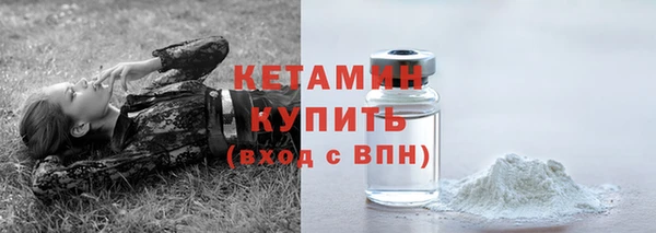 шишки Заволжск