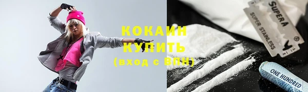 шишки Заволжск