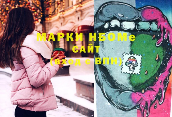 гидра Заводоуковск