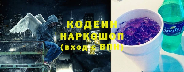 шишки Заволжск