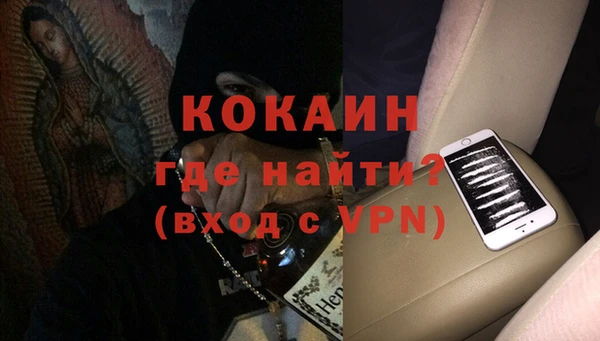 шишки Заволжск